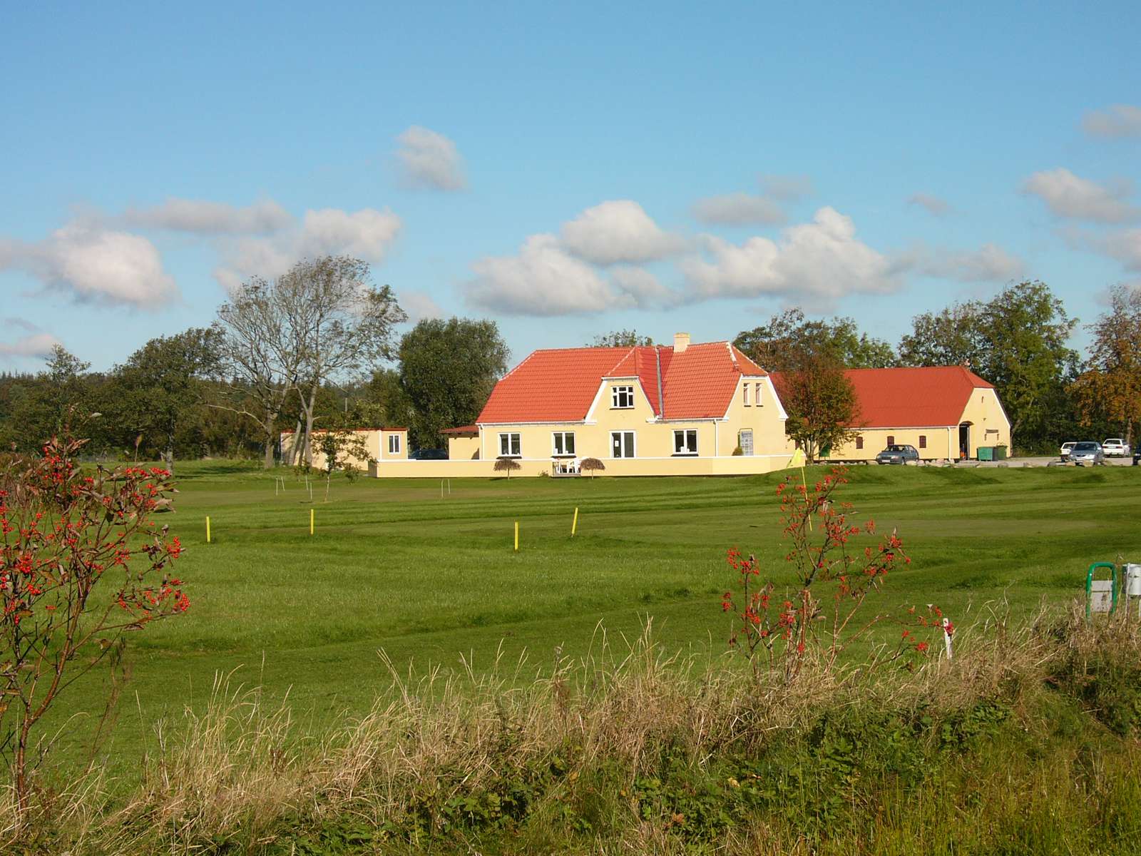 Gult hus på grøn grund