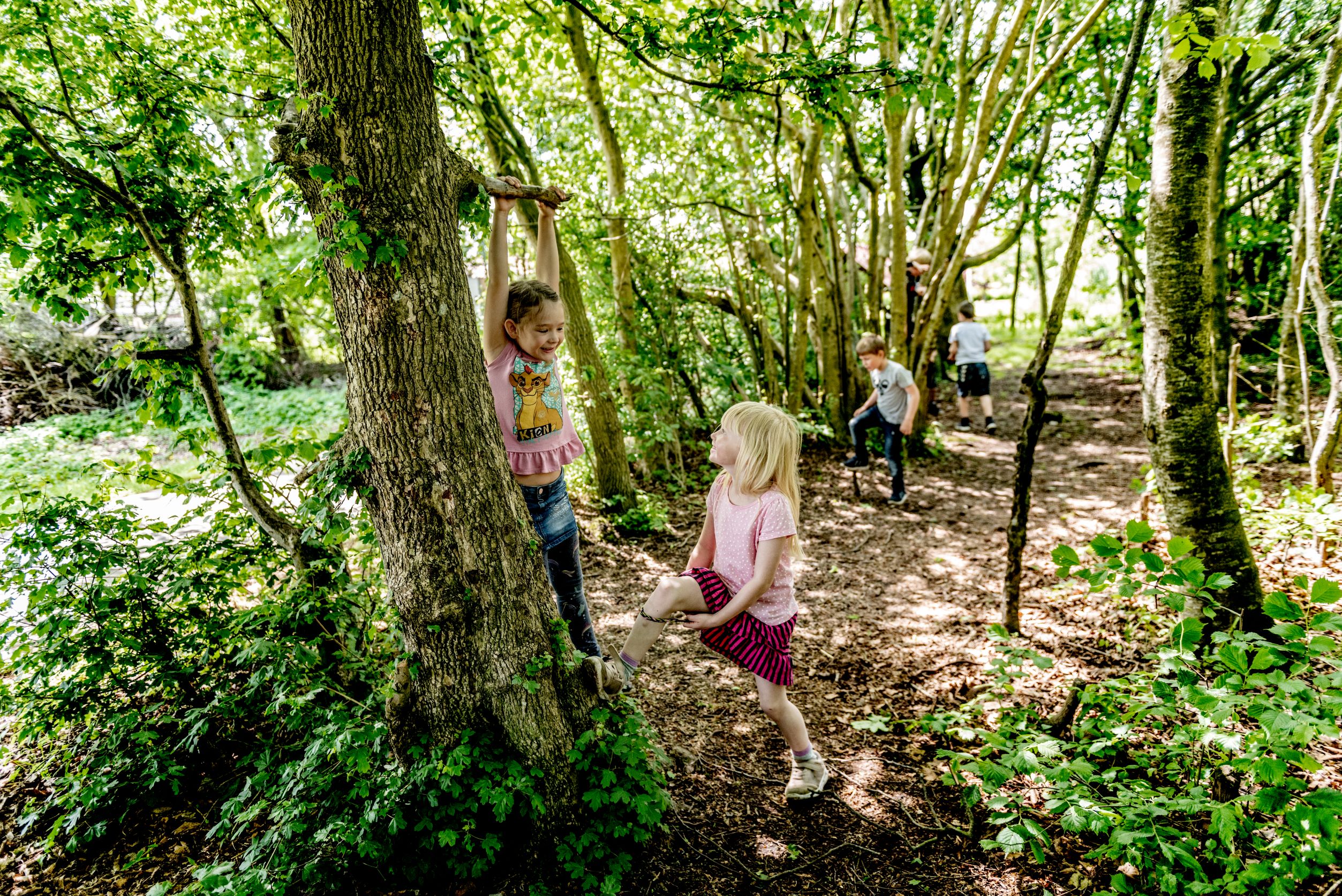 Børn leger i træer