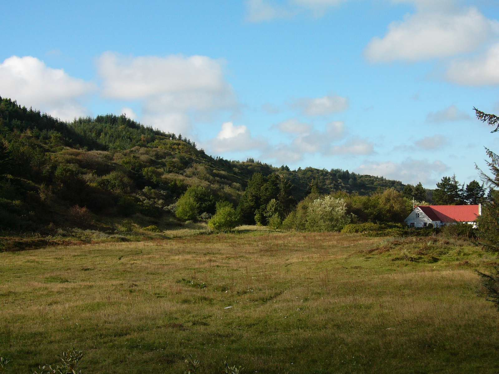 Hus i natur ved bakke og skov