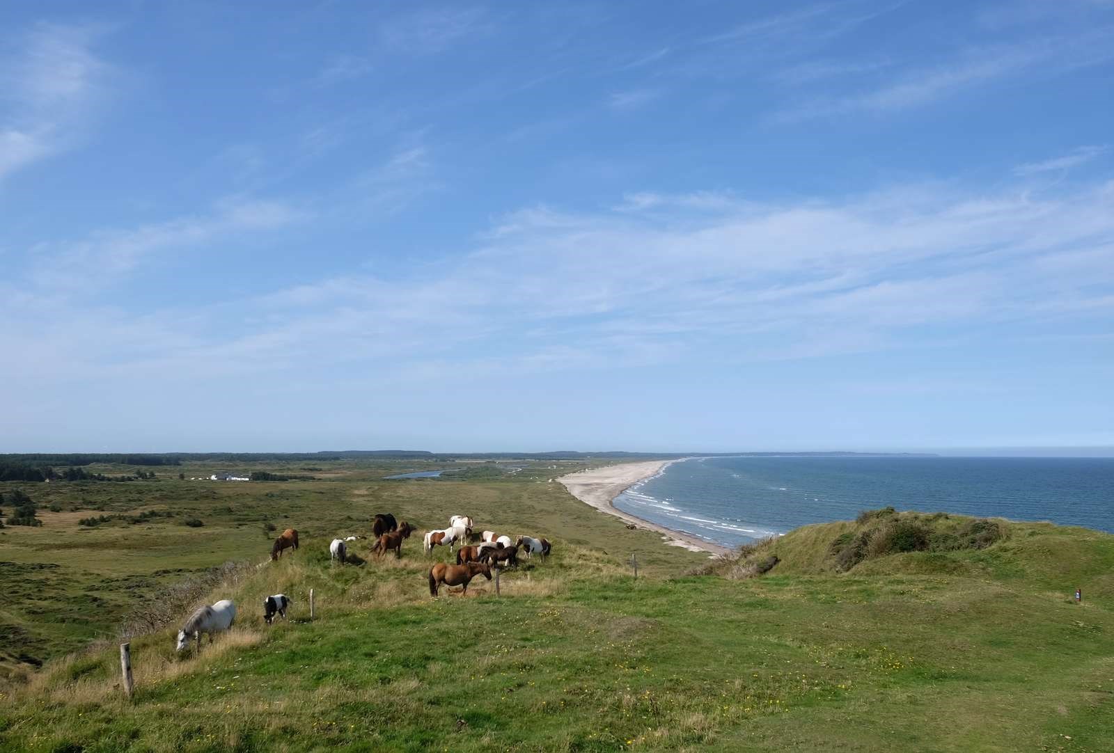 Natur, fjord, hav og strand