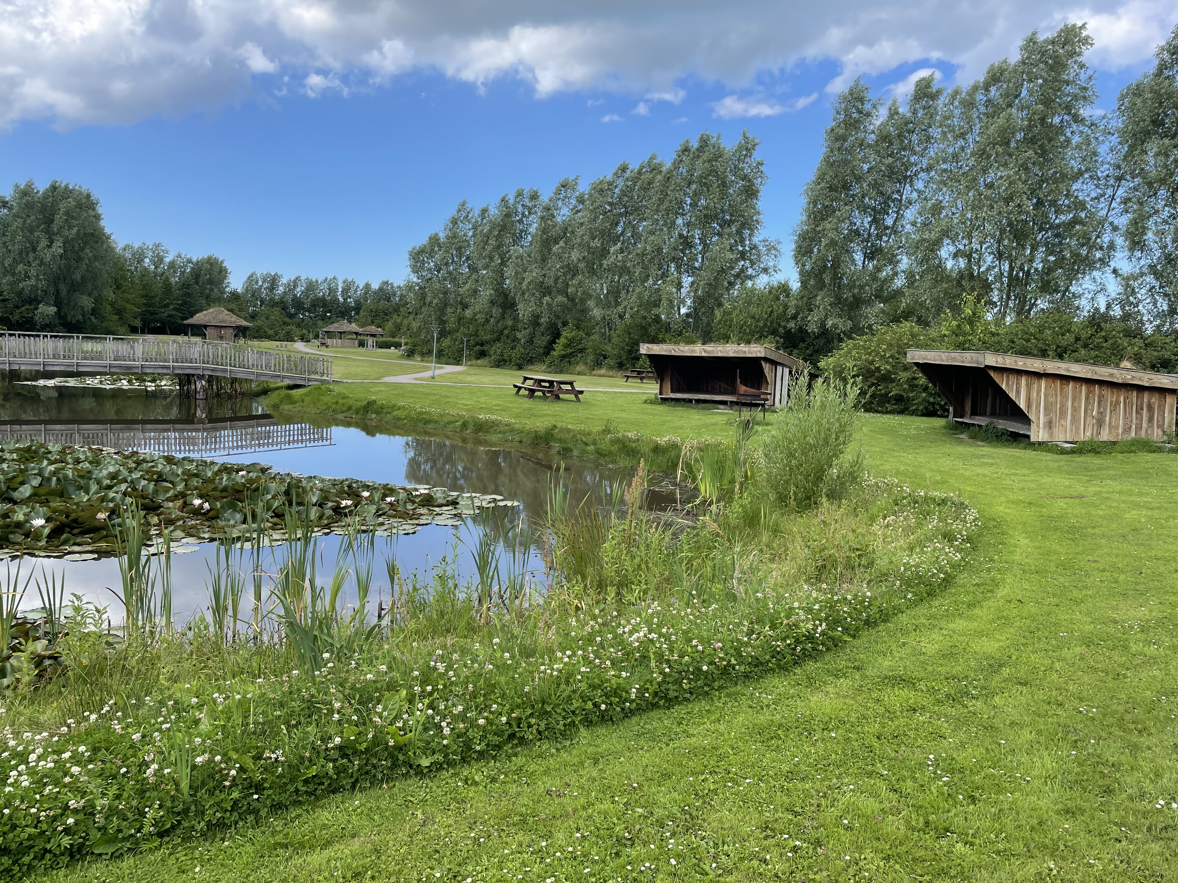 Shelterplads ved sø i Vester Hjermitslev
