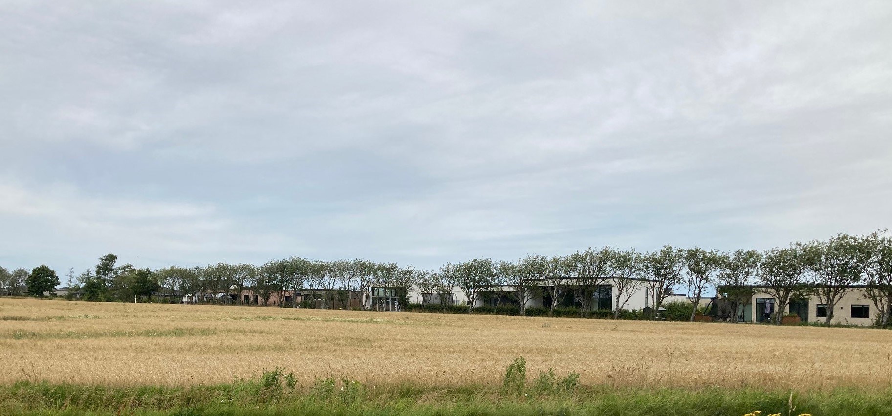 Boligområde I Nørhalne Ved Siden Af Nicolajs Have