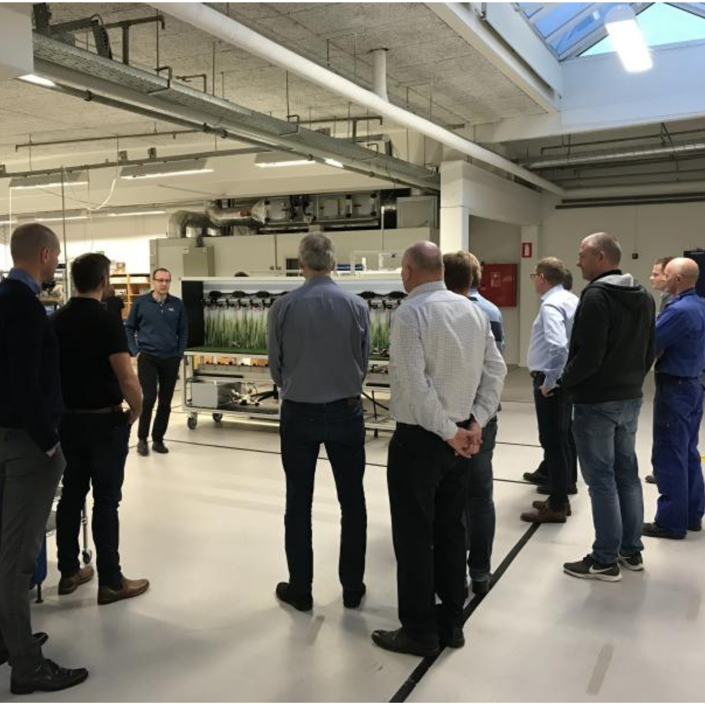 Netværk af mennesker rundvises