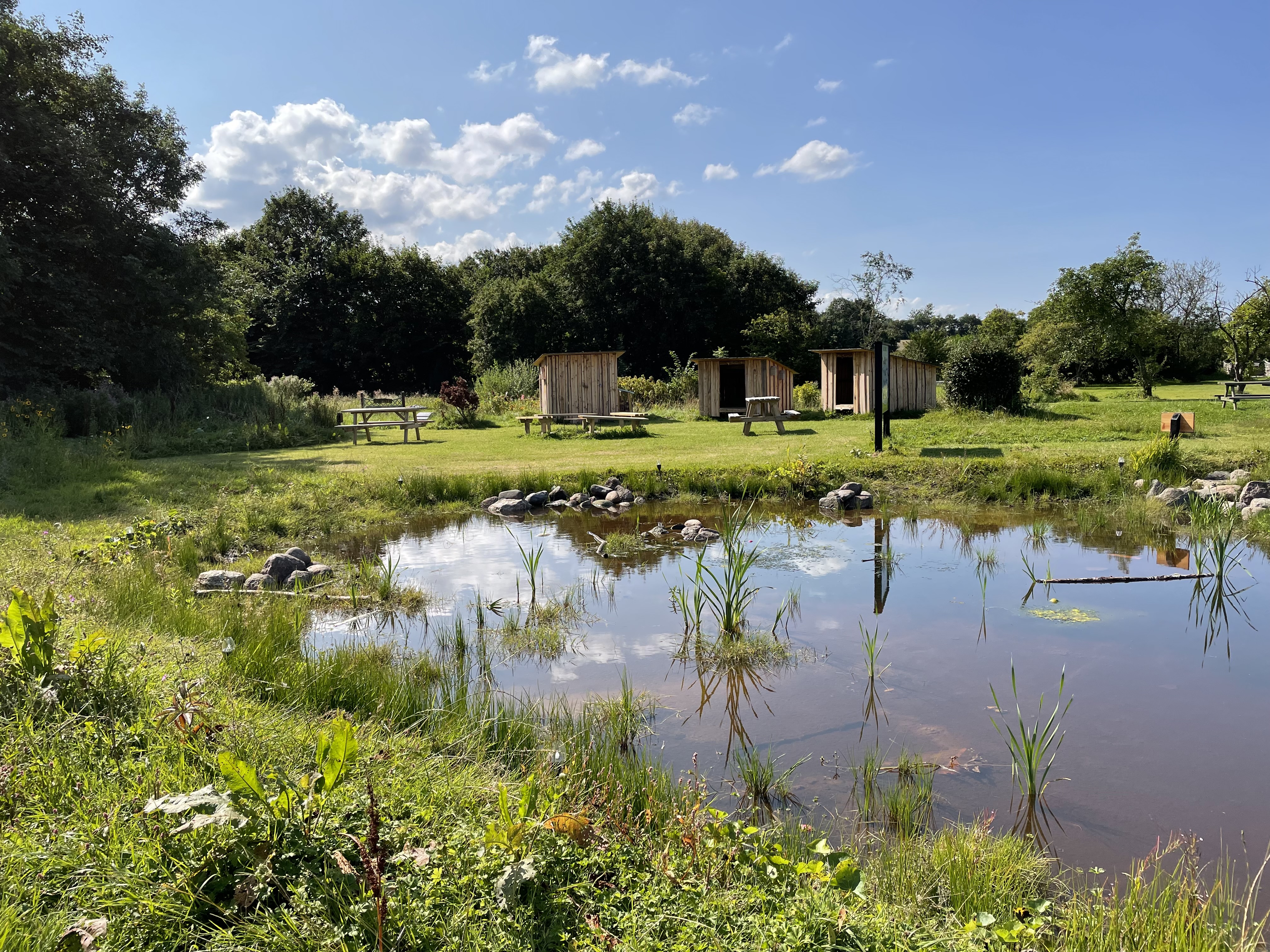 Markedspladsen i Skovsgaard