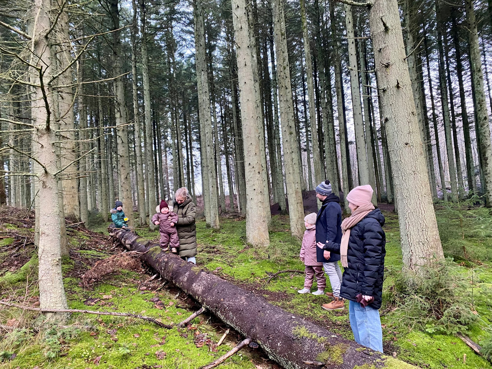 Familie i skoven