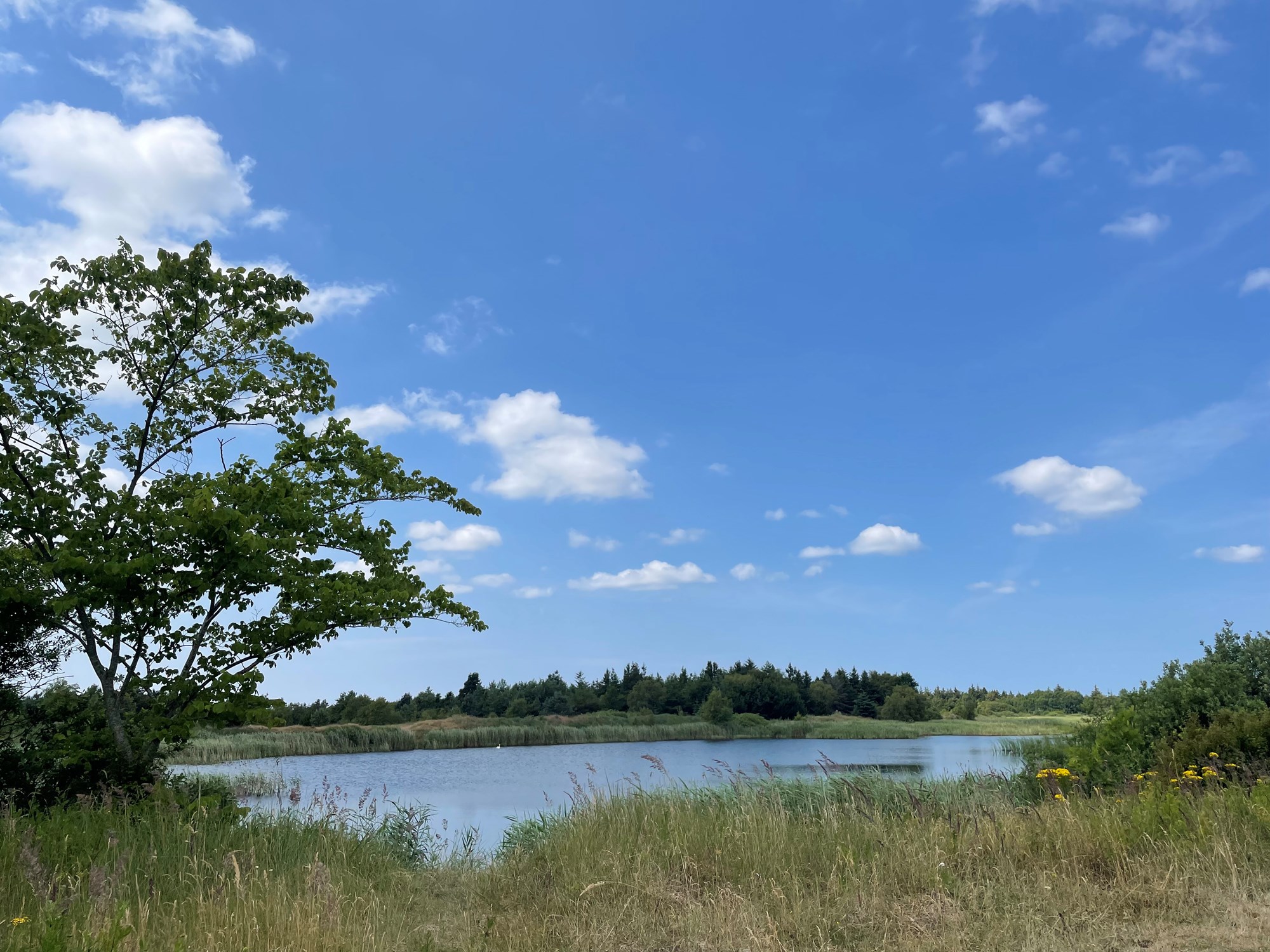 Flot udsigt over sø