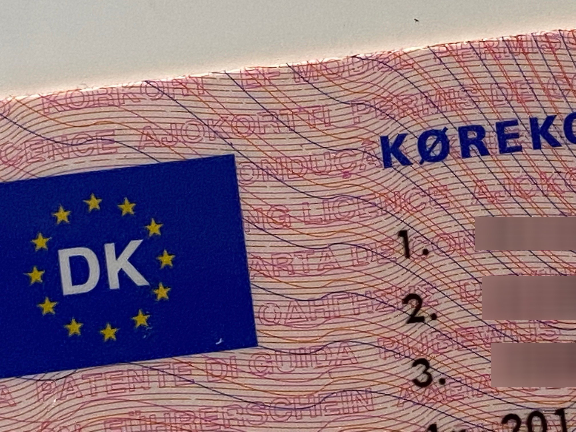kørekort eu logo