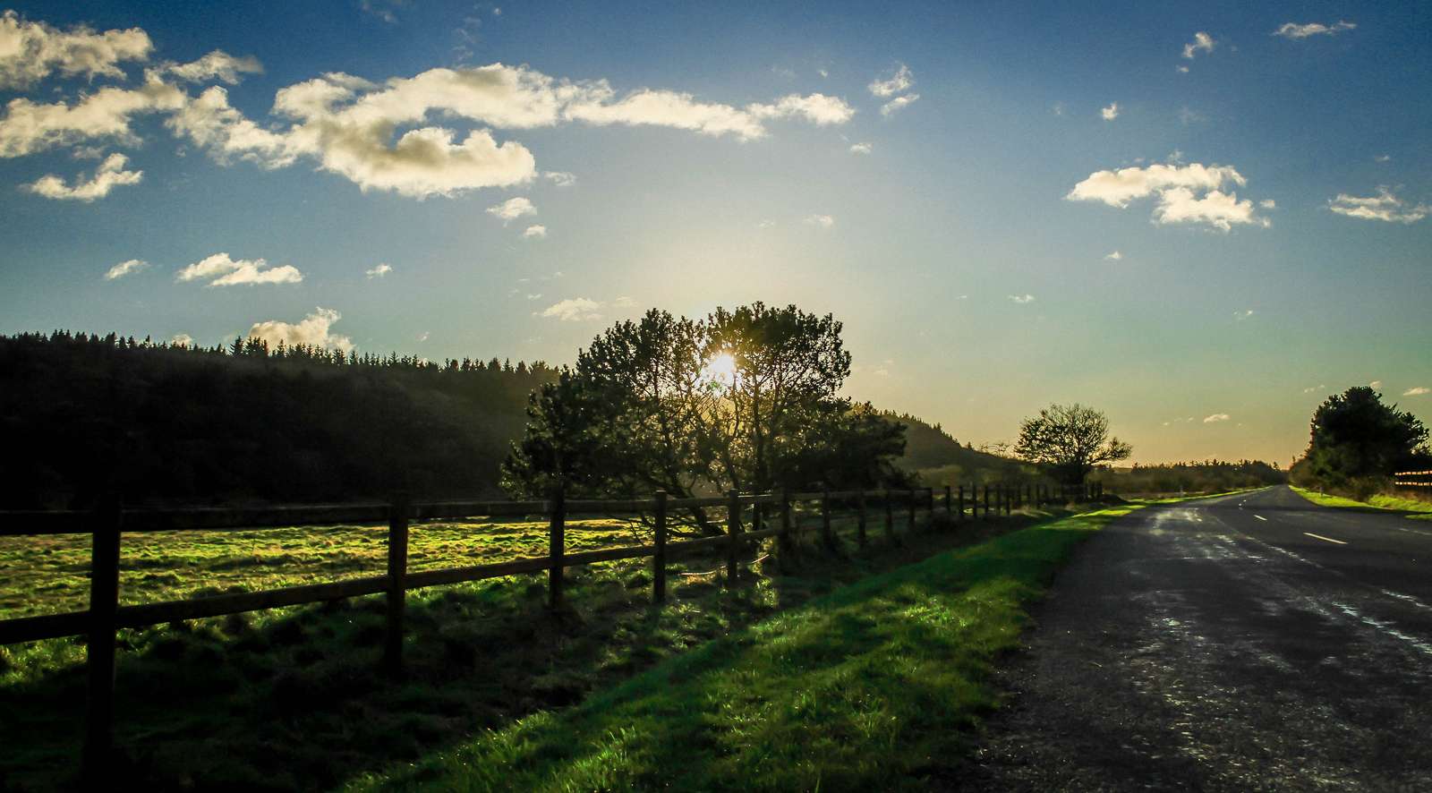 Vej og naturlandskab med sol bag trætop
