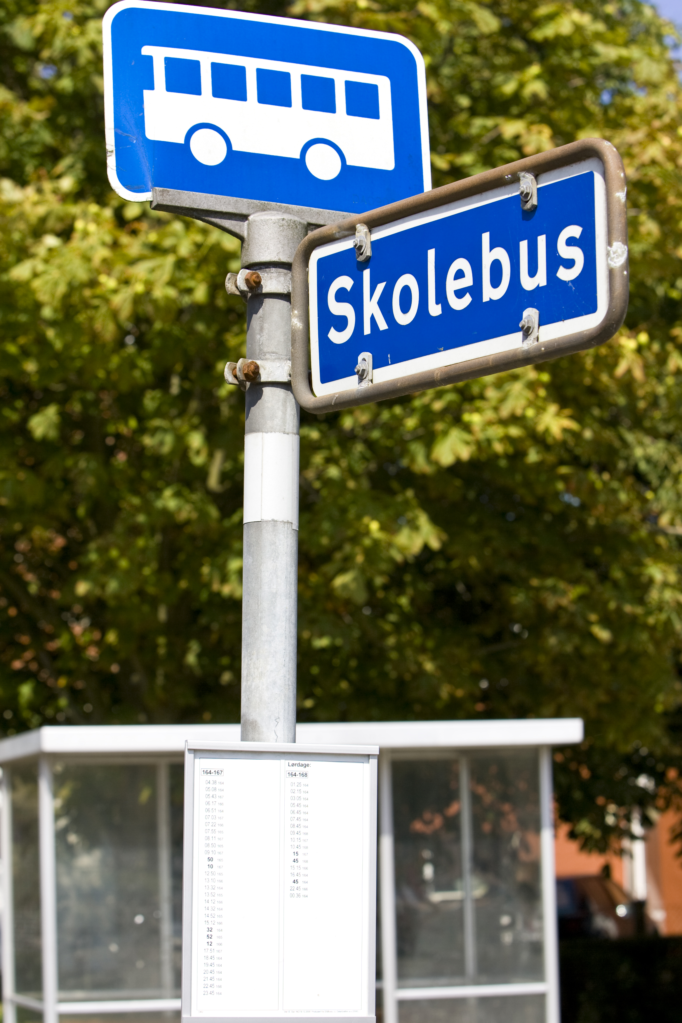 skolebus skilt